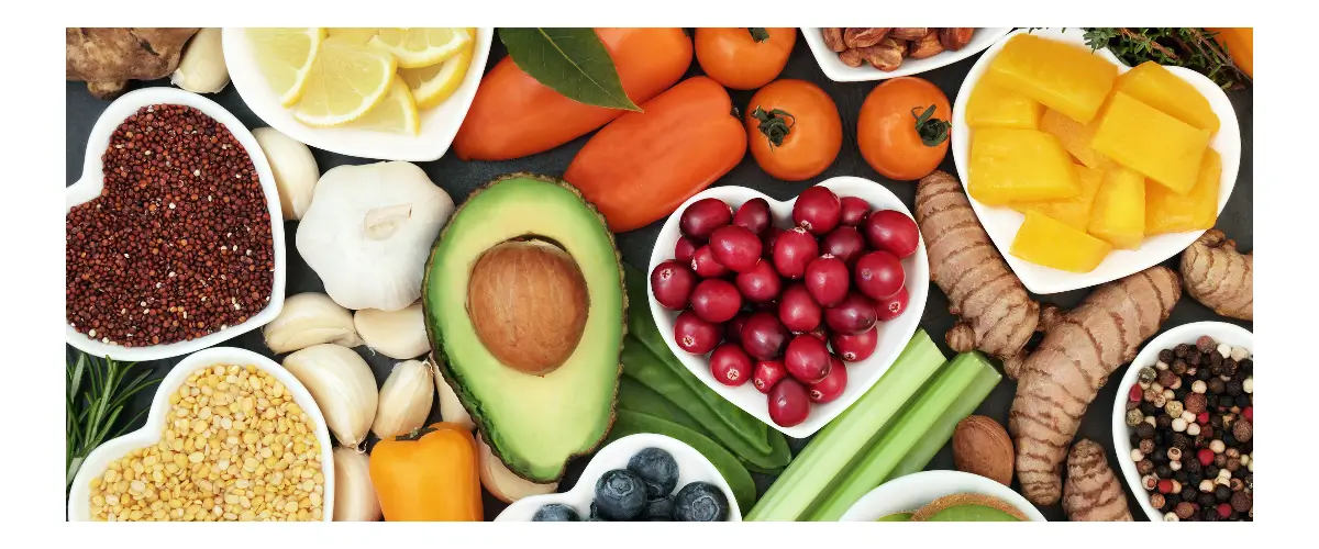 nutricion (2) nutricion (2)
