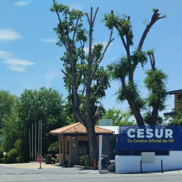 Cesur Campus Madrid Cesur Campus Madrid