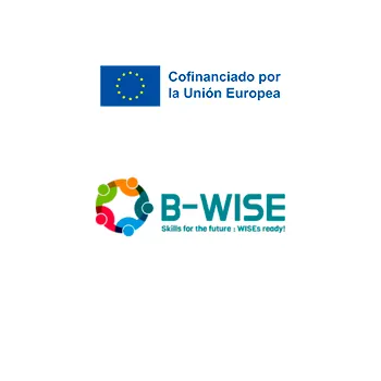 B WISE