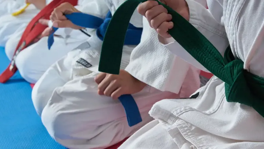 Artes Marciales Mixtas o MMA Artes Marciales Mixtas o MMA