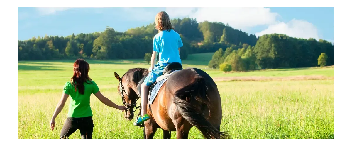Guía ecuestre, ¿Cuál son las tareas? Guía ecuestre, ¿Cuál son las tareas?