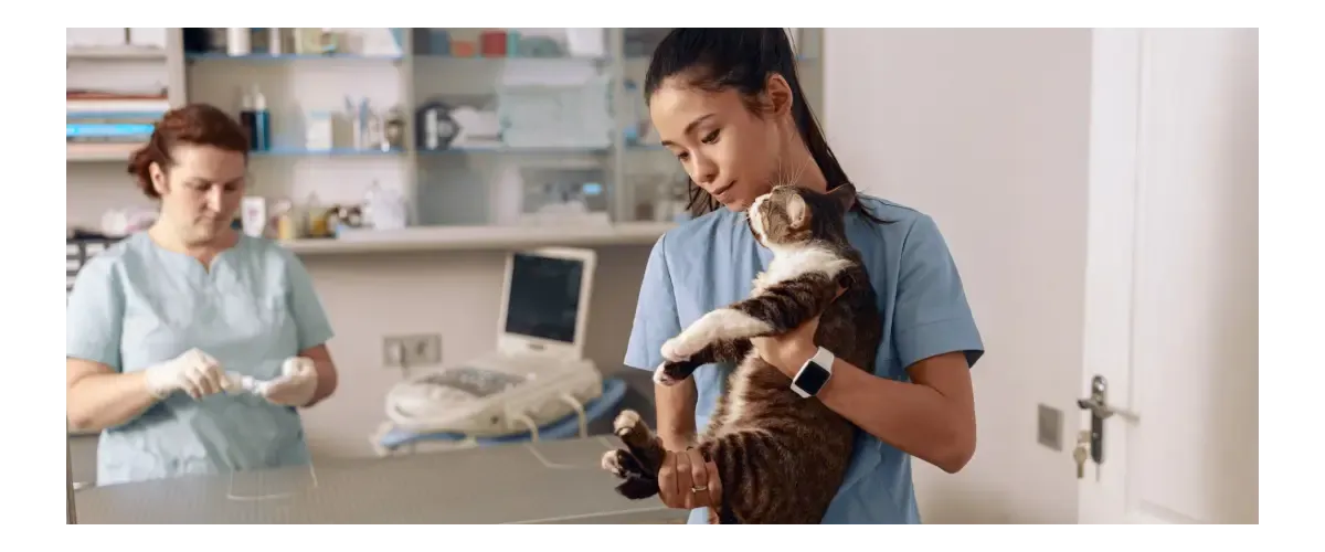 Guía completa para ser Auxiliar Veterinario Guía completa para ser Auxiliar Veterinario