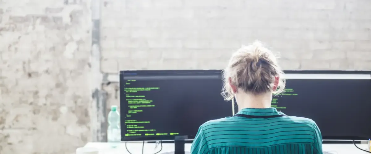 Desarrollador de Software: ¿Qué es?