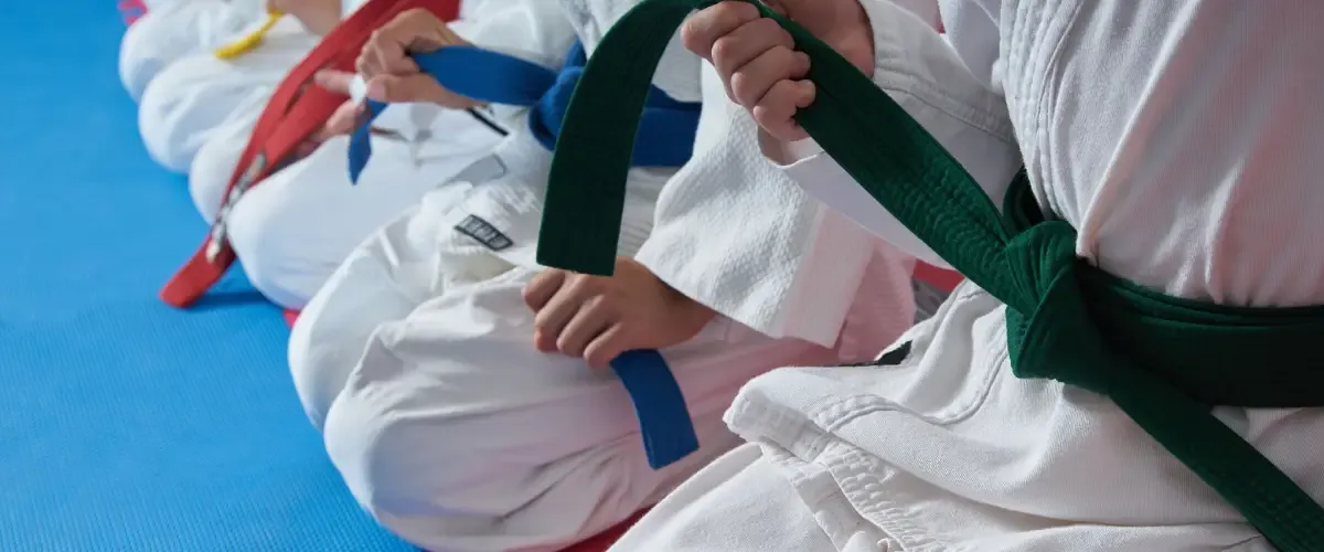 Artes Marciales Mixtas o MMA Artes Marciales Mixtas o MMA