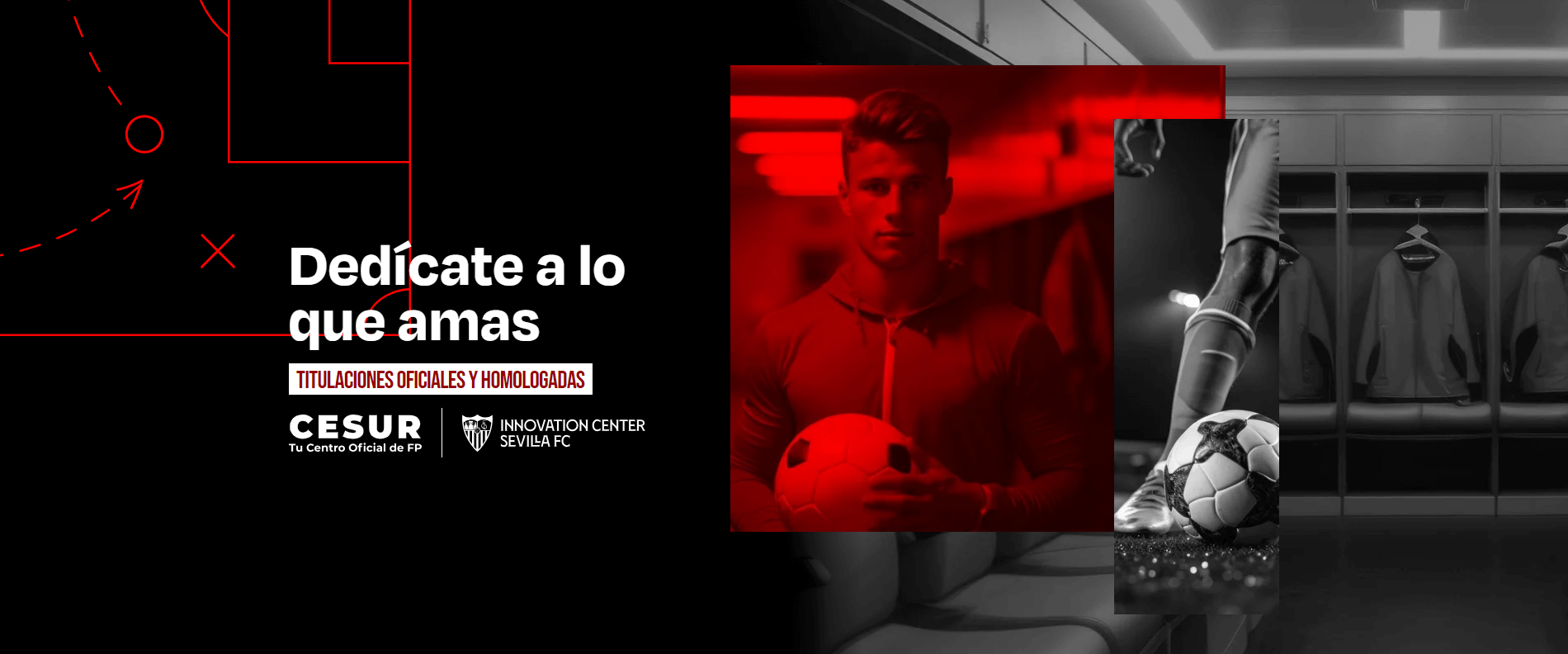 enseñanzas-deportivas