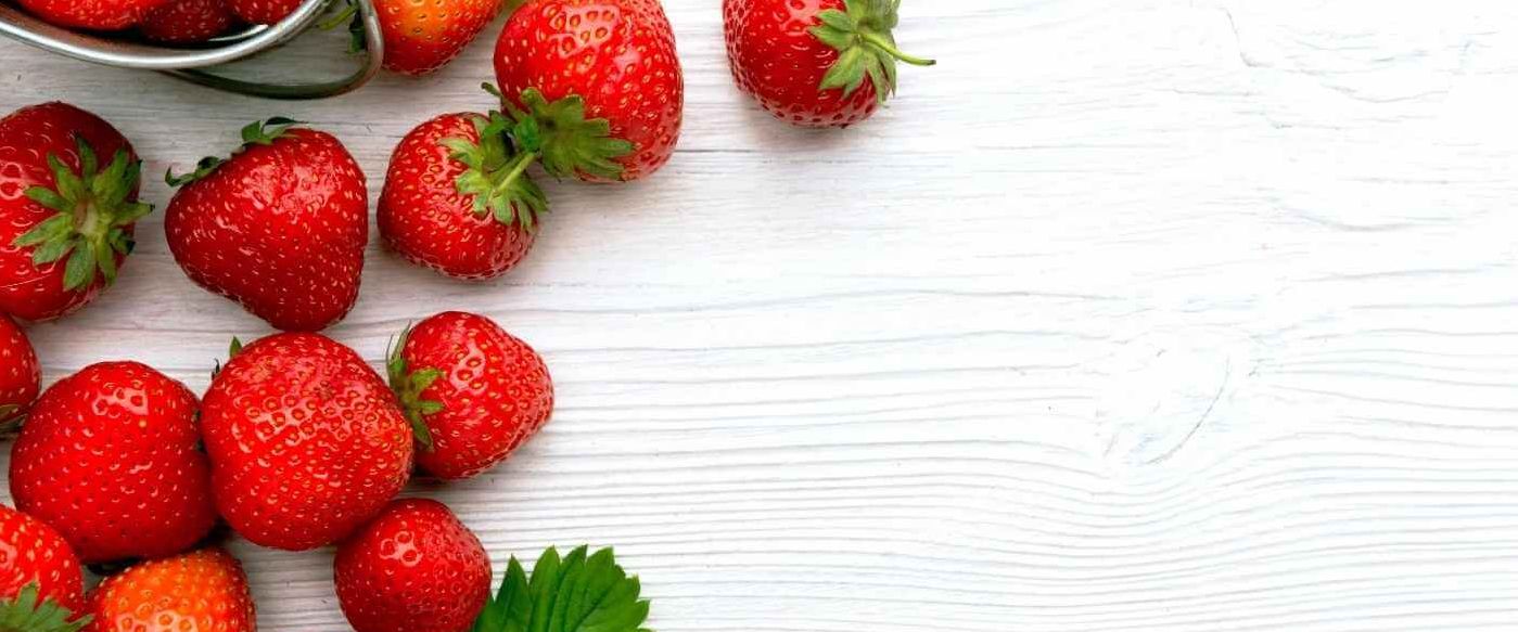 Extracción de ADN de Fresa, por Leticia y Estefanía Extracción de ADN de Fresa, por Leticia y Estefanía