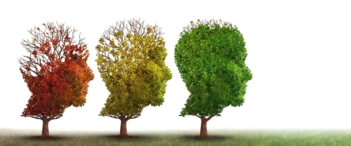 La teoría de Piaget: Resumen del desarrollo cognitivo La teoría de Piaget: Resumen del desarrollo cognitivo