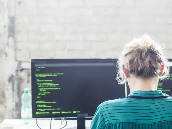 Desarrollador de Software: ¿Qué es?