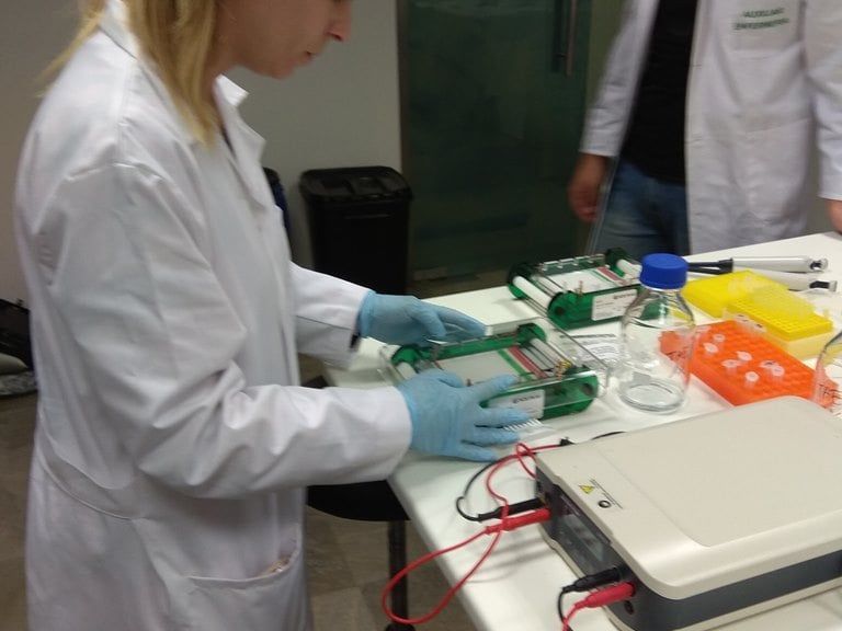 Ejercicios De La Practica De Biologia Molecular