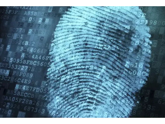 forense funciones forense funciones