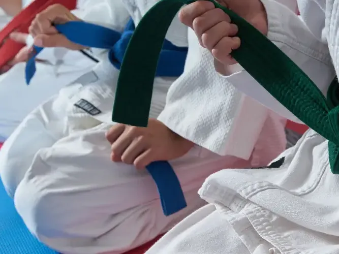 Artes Marciales Mixtas o MMA Artes Marciales Mixtas o MMA