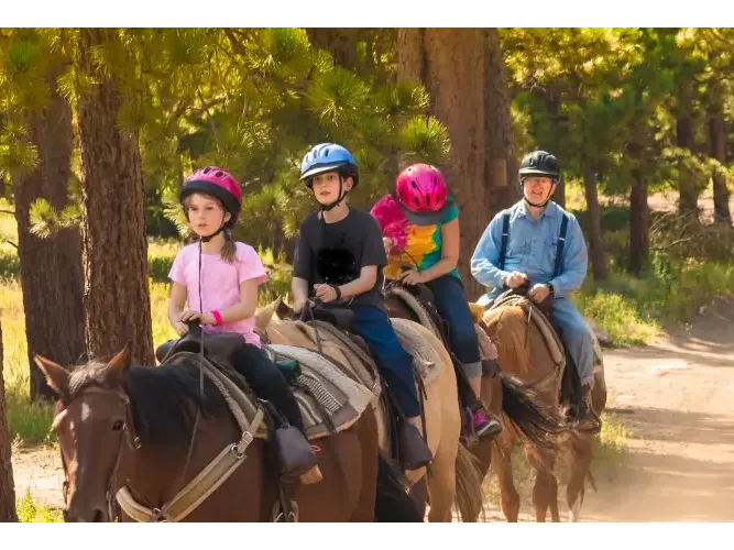 funciones guia ecuestre funciones guia ecuestre