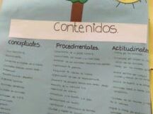 La Programacion Didactica En Educacion Infantil 5 230X300