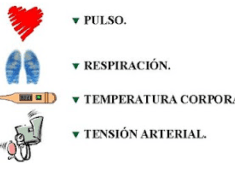 Infografia de signos vitales Infografia de signos vitales