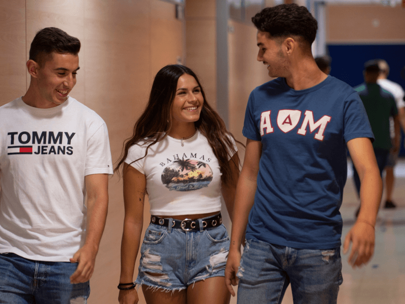 Alternativa a bachillerato. Todas tus opciones Alternativa a bachillerato. Todas tus opciones