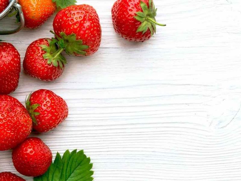 Extracción de ADN de Fresa, por Leticia y Estefanía Extracción de ADN de Fresa, por Leticia y Estefanía