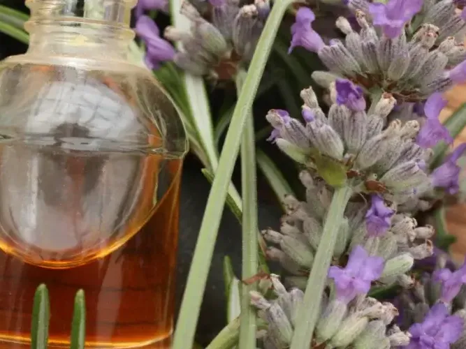 parafarmacia parafarmacia