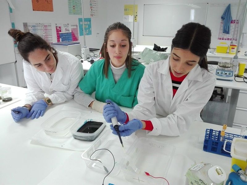 Investigando Los Diferentes Tipos De Electroforesis Investigando Los Diferentes Tipos De Electroforesis