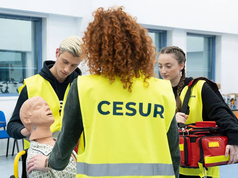 formacion cesur formacion cesur