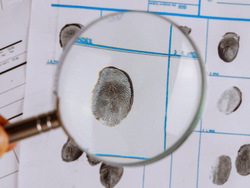Qué es una Carrera Criminalística Qué es una Carrera Criminalística
