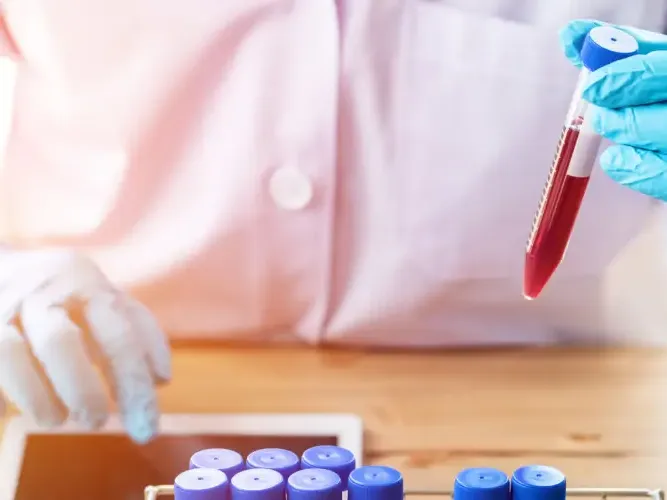 Biomedicina: descubre las mejores salidas profesionales Biomedicina: descubre las mejores salidas profesionales