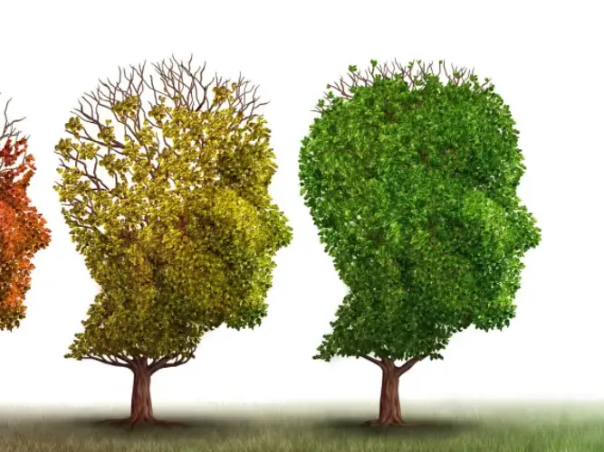 La teoría de Piaget: Resumen del desarrollo cognitivo