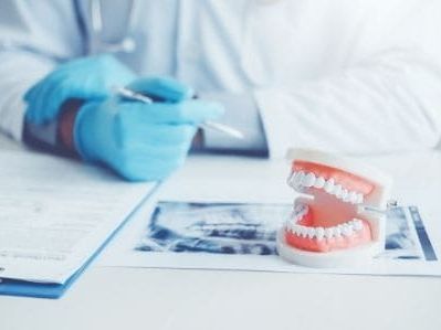 Como estudiar Anatomía Dental