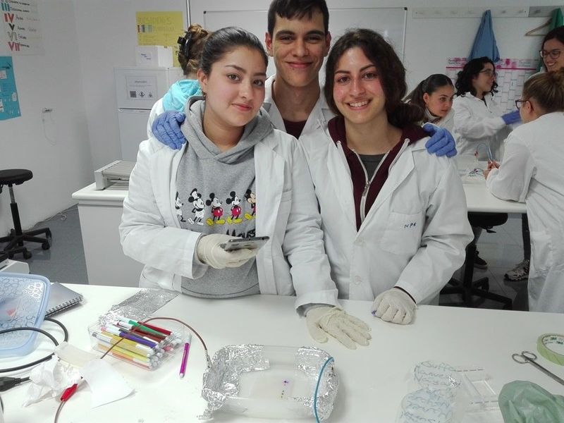 Alumnos Investigando los diferentes tipos de electroforesis