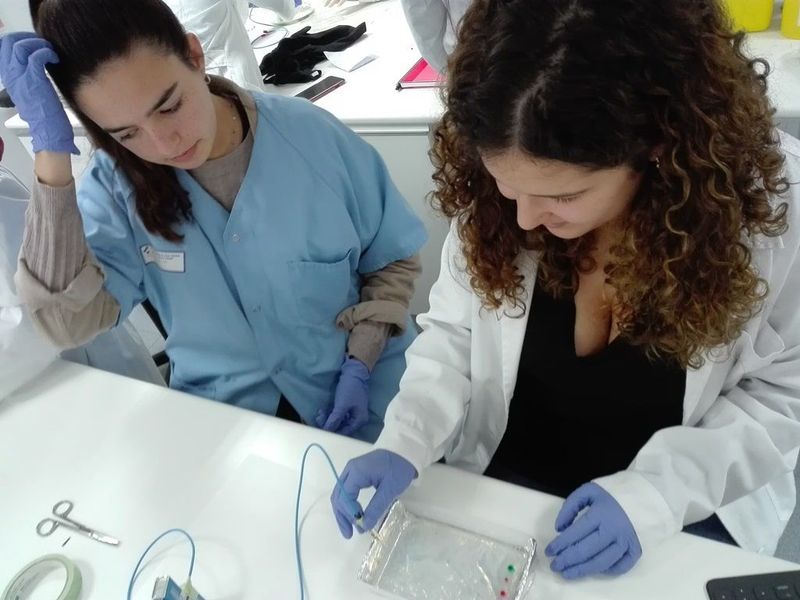 Laboratorio Investigando la electroforesis