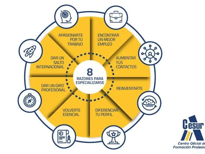 porque especializarse porque especializarse