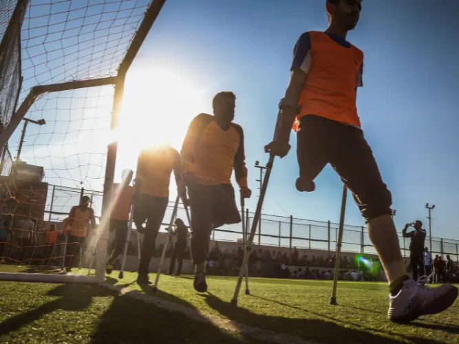 tipos de diversidad funcional tipos de diversidad funcional