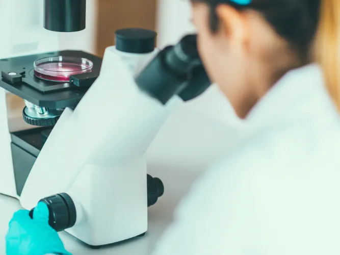 bioteconologia medica fp bioteconologia medica fp