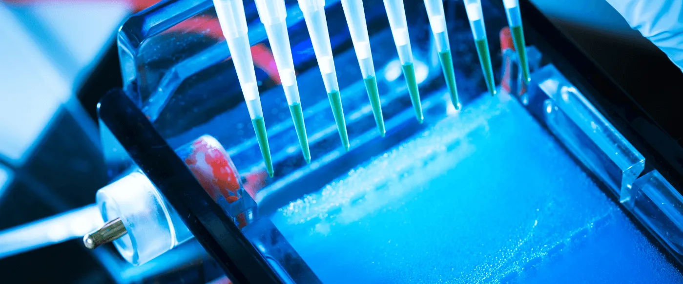 Blog Cesur Formación | Investigando Los Diferentes Tipos De Electroforesis