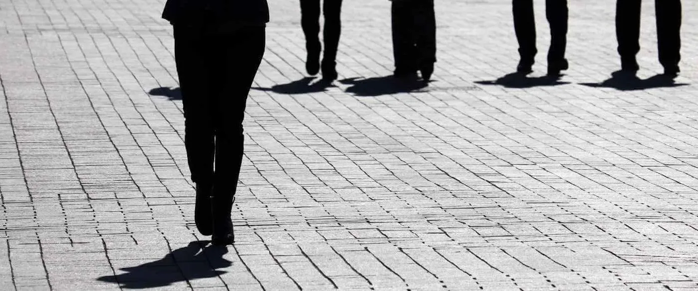 Blog Cesur Formación | Carrera De Sociologia O Grado De Fp