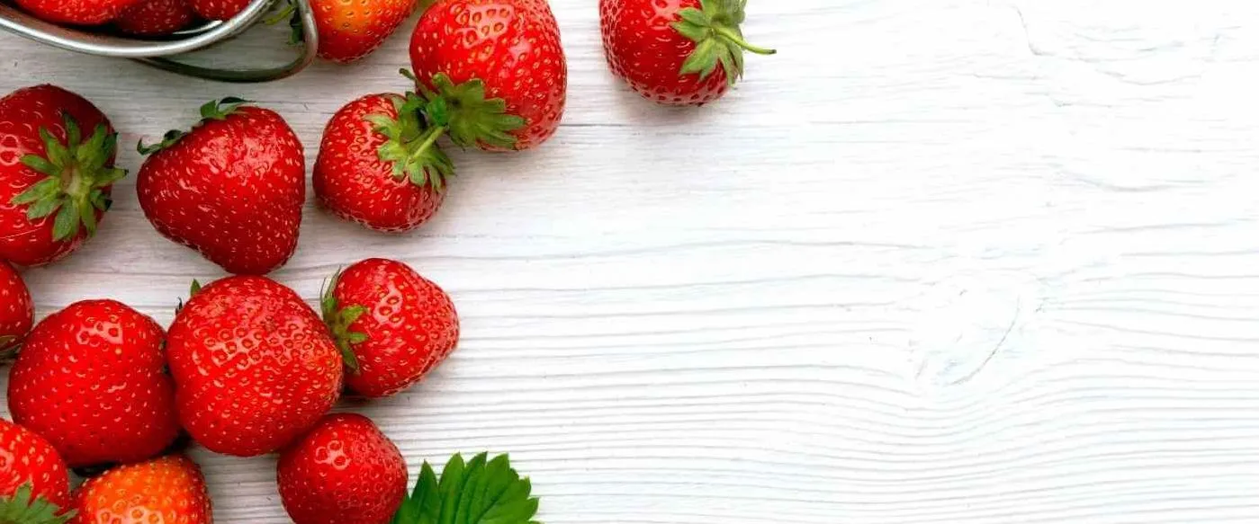 Blog Cesur Formación | Extraccion Adn Fresa