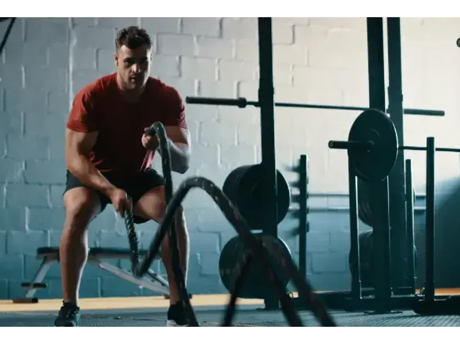 powerlifting categoria powerlifting categoria