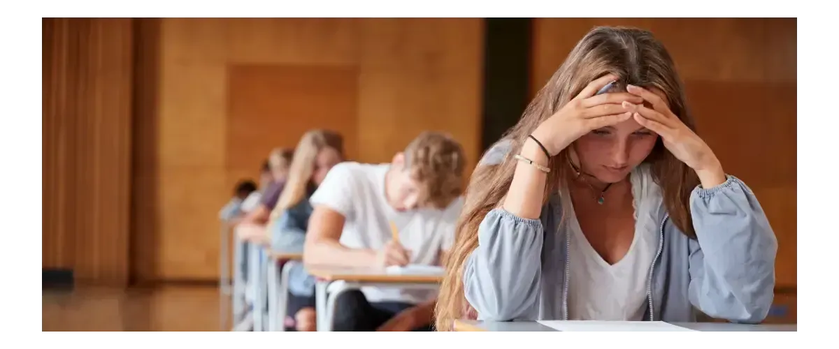 Blog Cesur Formación | Evau O Ebau