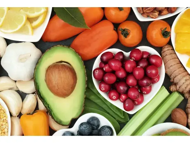 nutricion (2) nutricion (2)