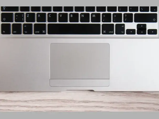 concentrarse estudiar