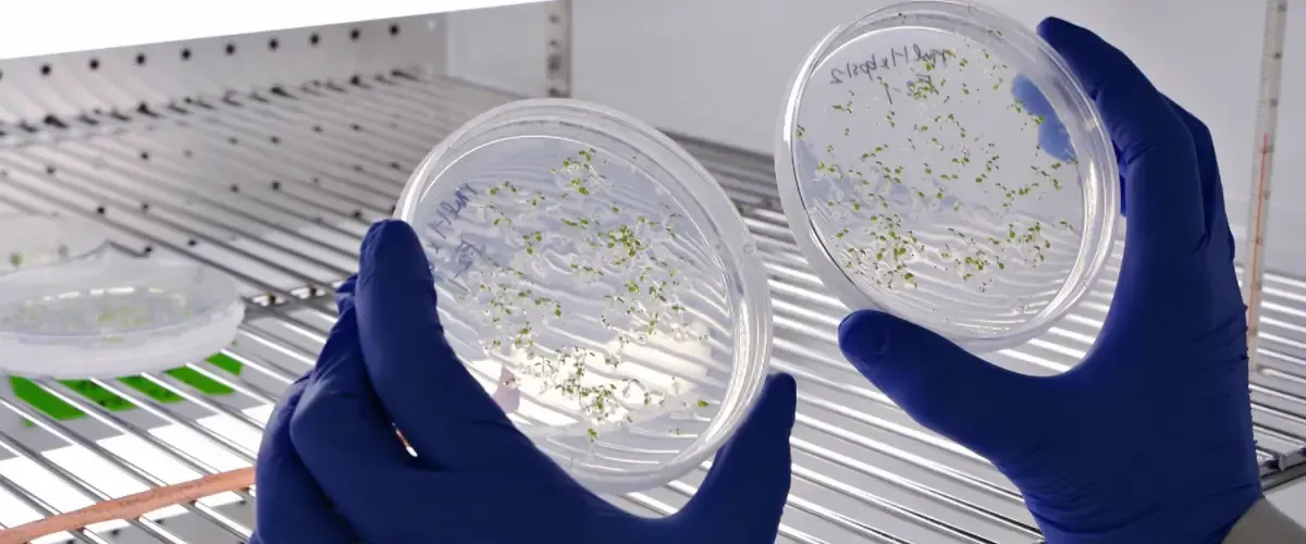 Blog Cesur Formación | Cuanto Cobra Biologo