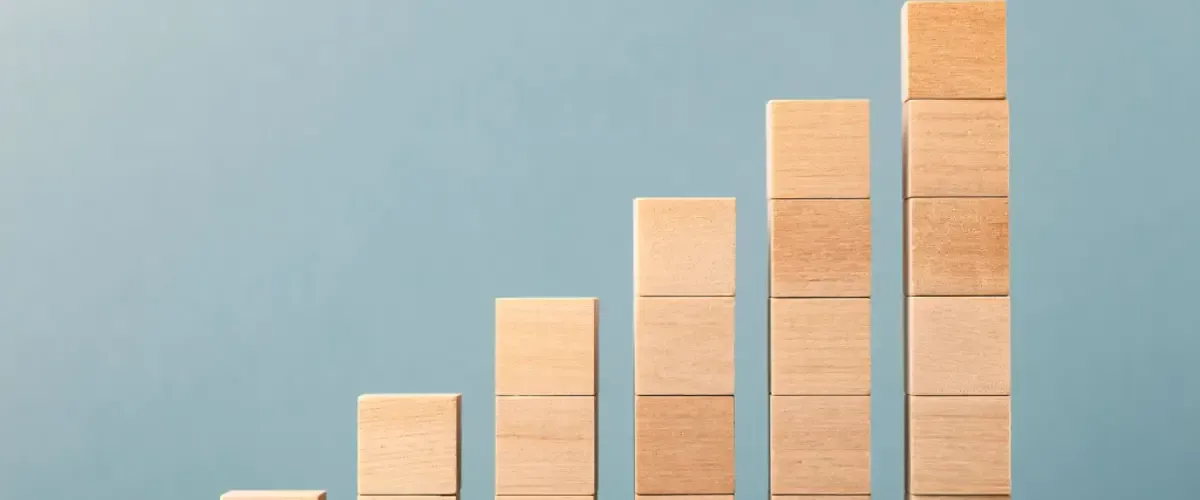 Blog Cesur Formación | Nivel De Estudio