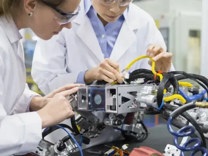 formacion profesional basica