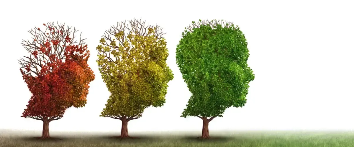 Blog Cesur Formación | Teoria De Piaget