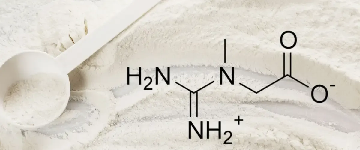 Blog Cesur Formación | Glutamina Para Que Sirve