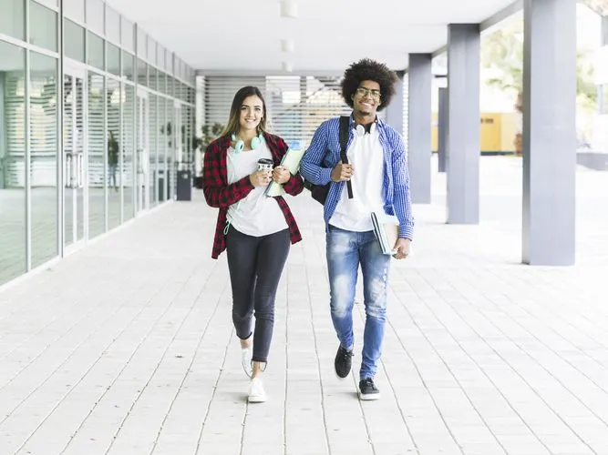 Modulo Profesional Que Es