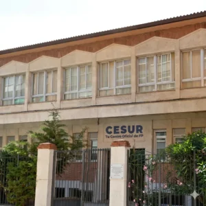 cesur valladolid